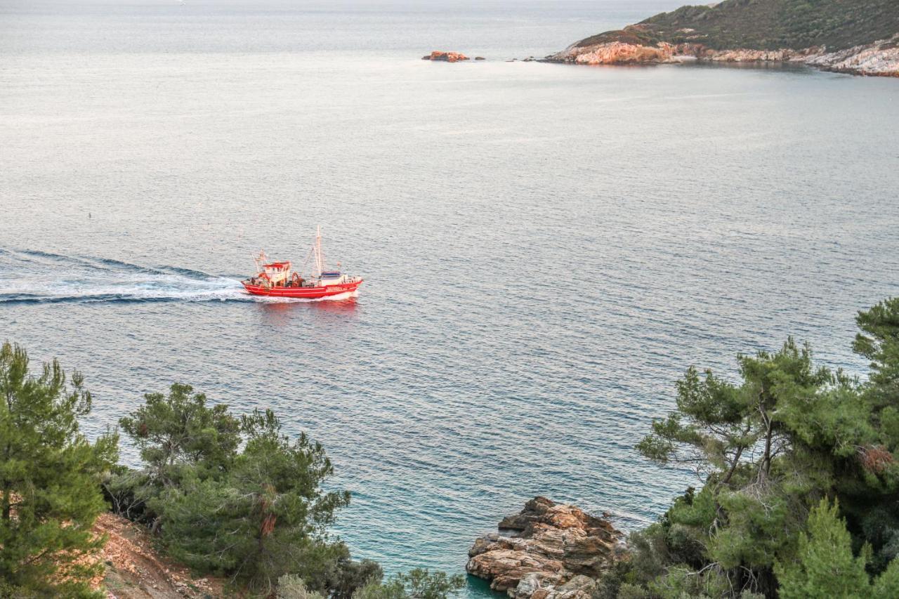 Thalasses Villas Skiathos Punta Esterno foto